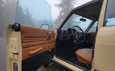 Subaru-dl-wagon-4x4-1979-brown-14