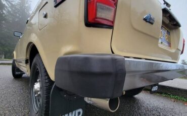 Subaru-dl-wagon-4x4-1979-brown-7