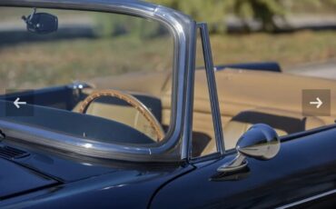 Sunbeam-Tiger-1966-Black-Tan-19