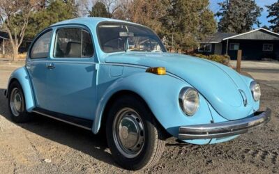 Super beetle 1971