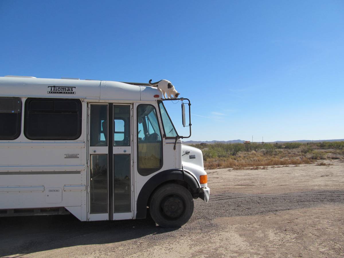 Thomas-bus-3600vista-series-diesel-1996-white-21