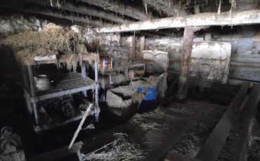 Thunderbirds-1955-custom-1