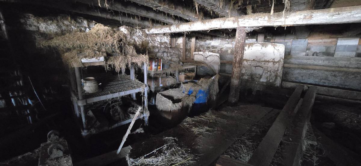 Thunderbirds-1955-custom-1