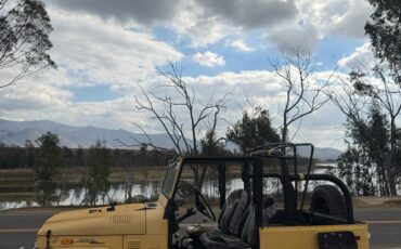 Toyota-Land-Cruiser-1973-SUV-1