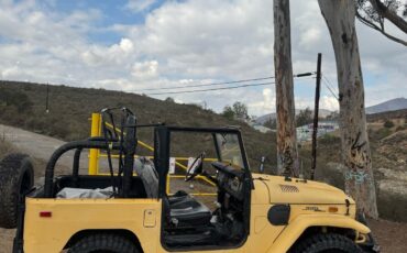 Toyota-Land-Cruiser-1973-SUV-4