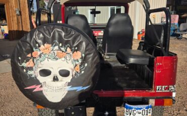 Toyota-Land-Cruiser-1977-12