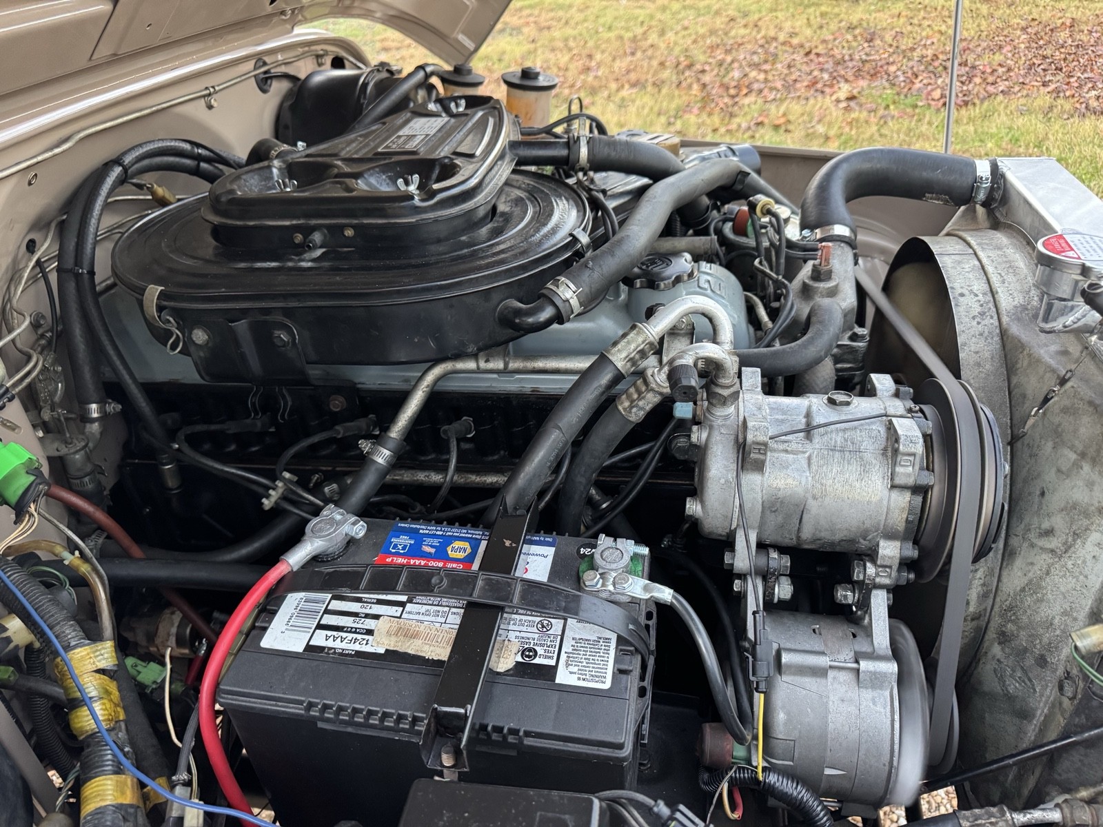 Toyota-Land-Cruiser-40-1980-21