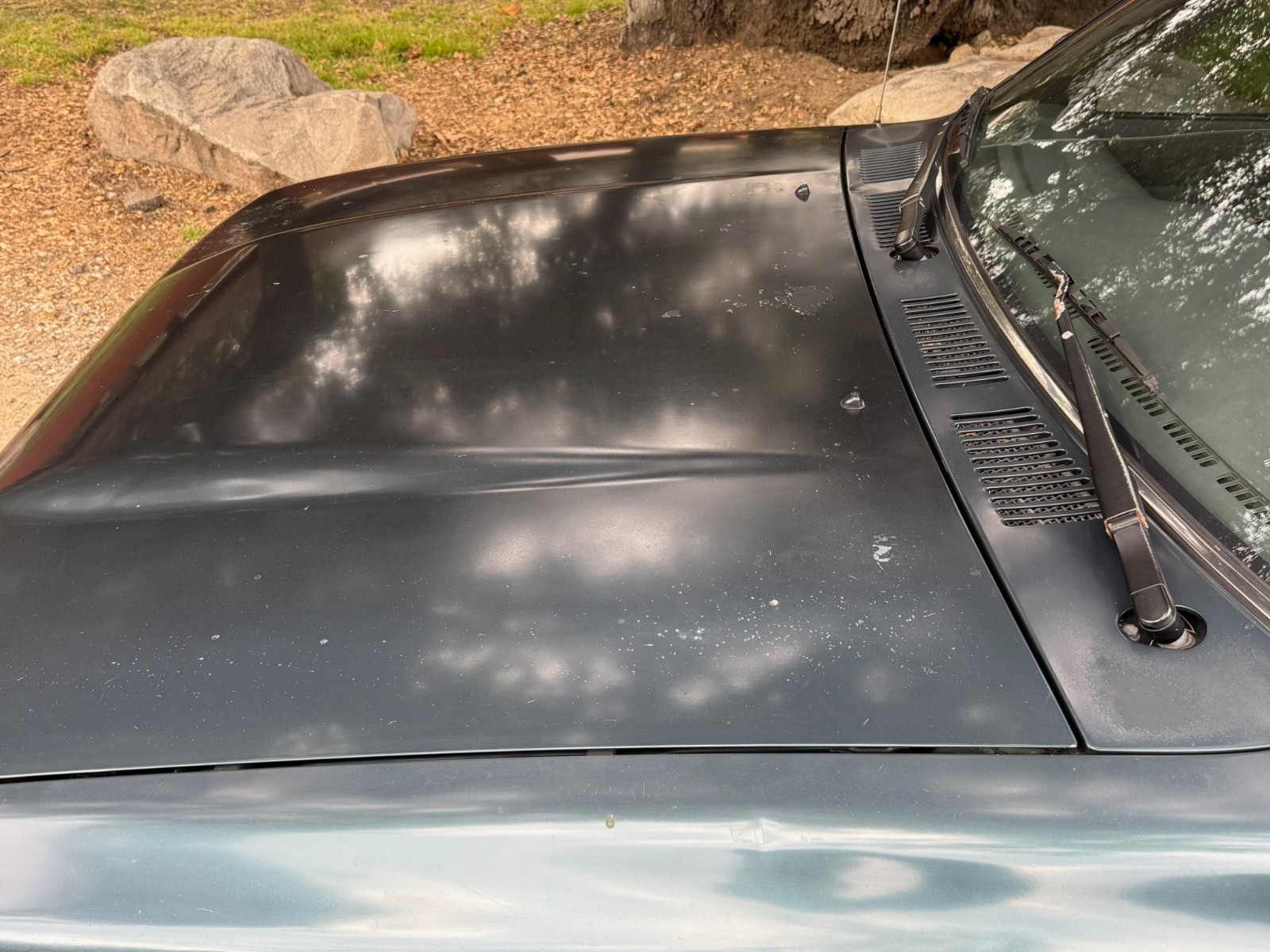 Toyota-Pickup-1995-Extended-Cab-Pickup-19