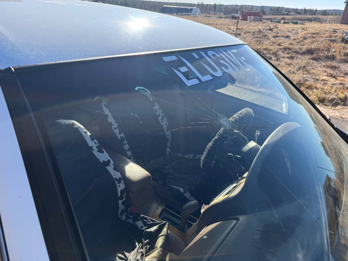 Toyota-avalon-1995-4