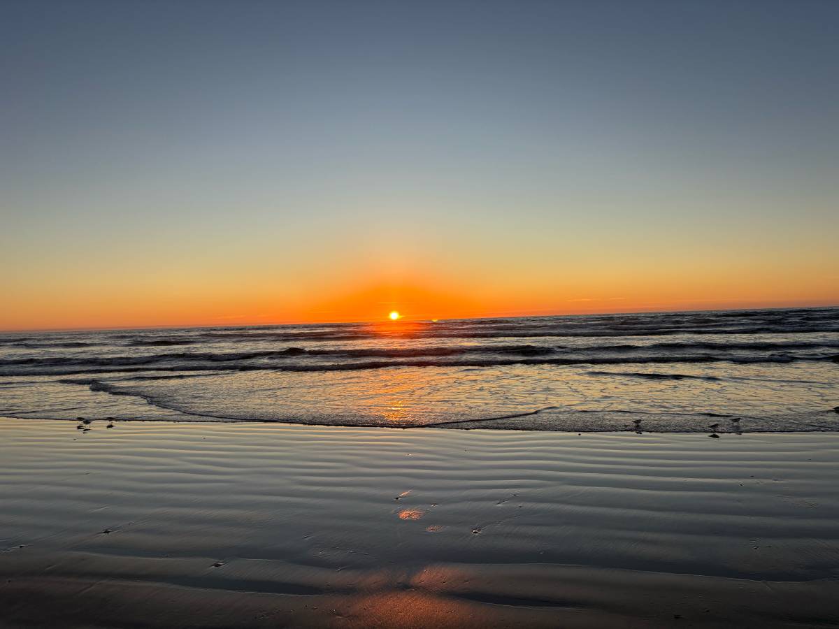 Toyota-camry-1996-green