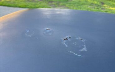 Toyota-corona-1969-5