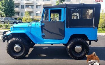 Toyota-land-cruiser-1965-29