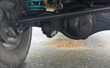 Toyota-land-cruiser-1992-silver-7