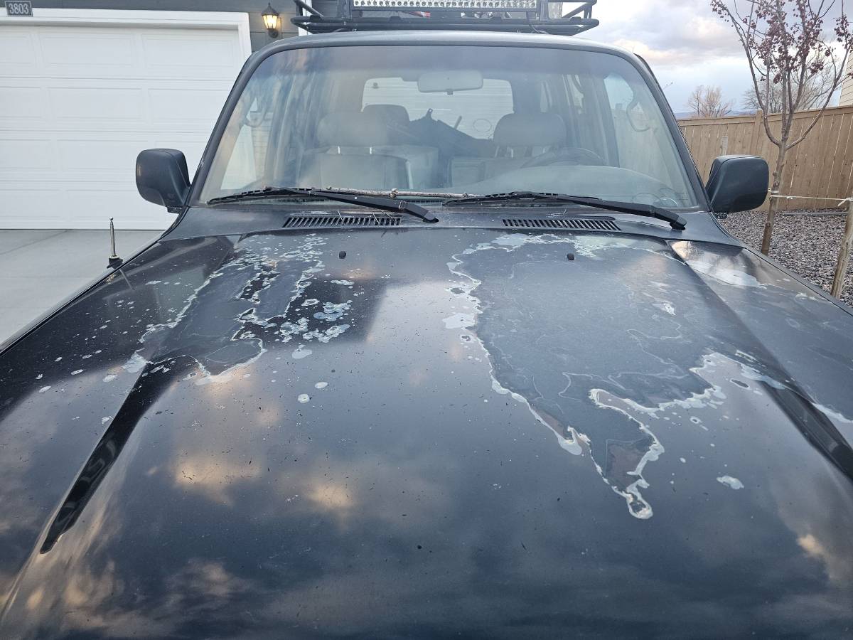 Toyota-land-cruiser-1996-green-3