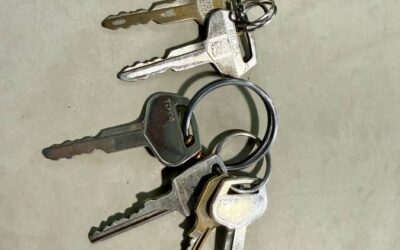 Toyota land cruiser diesel 1983