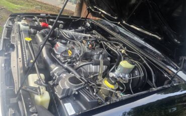 Toyota-pickup-4x4-1993-black-9