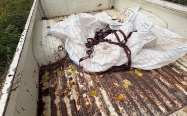 Toyota-pickup-truck-1981-white-2