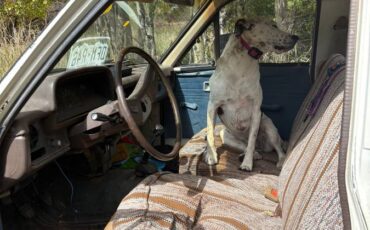 Toyota-pickup-truck-1981-white-3