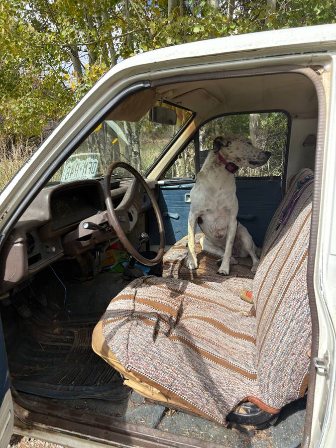 Toyota-pickup-truck-1981-white-3