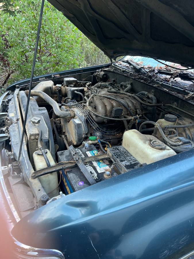 Toyota-t100-4x4-1996-green-1