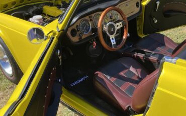 Triump-tr6-1976-custom-5