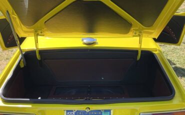 Triump-tr6-1976-custom-7