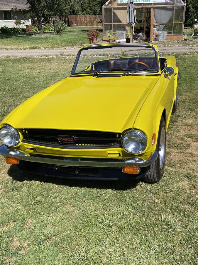 Triump-tr6-1976-custom