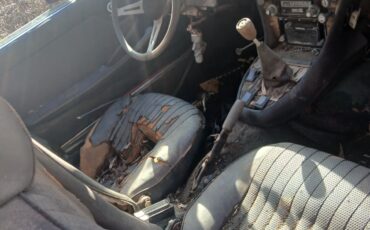 Triumph-Other-1973-Convertible-37