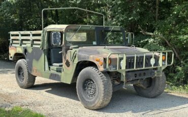 Triumph-Other-1992-Pickup-Truck