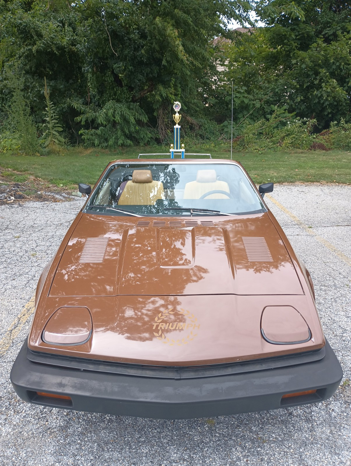 Triumph TR7 1980 Convertible