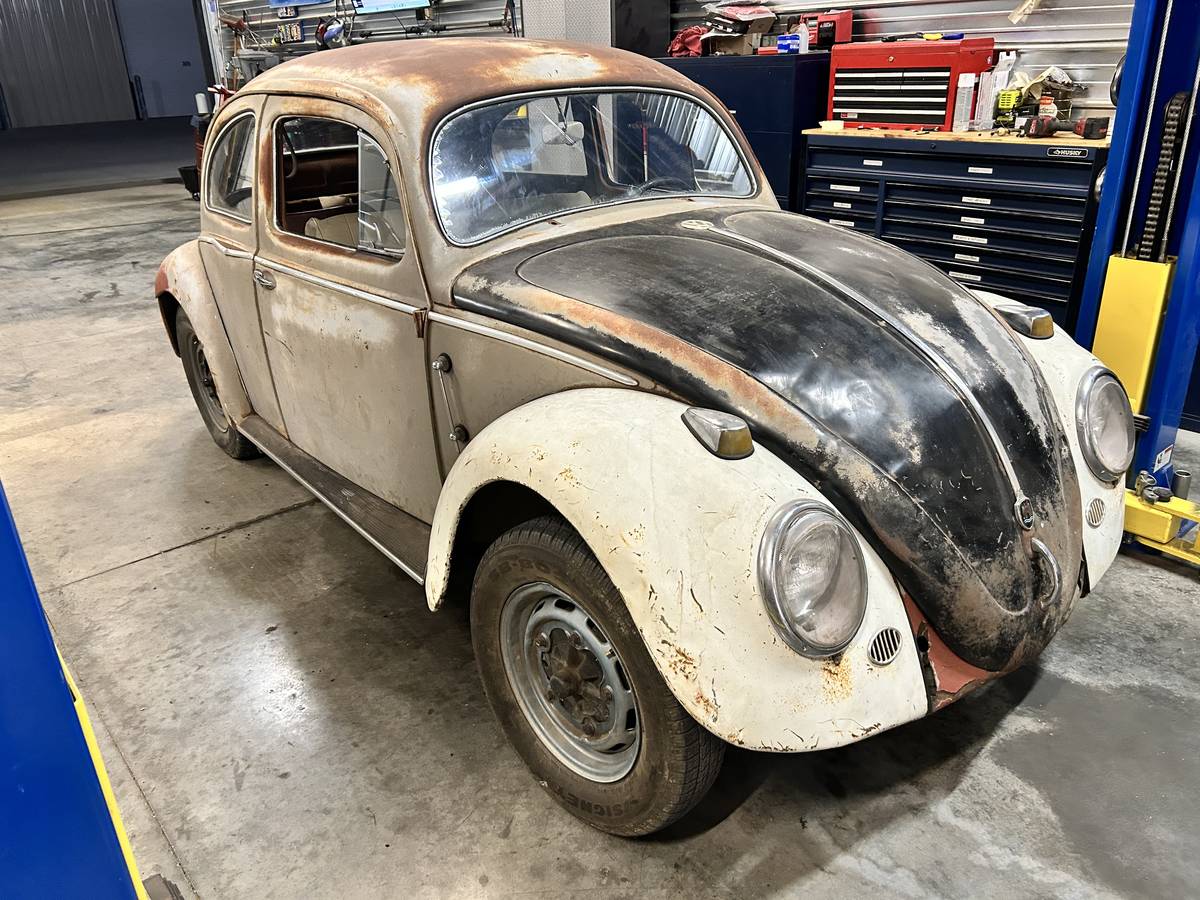 Volkswagen-beetle-1956-1