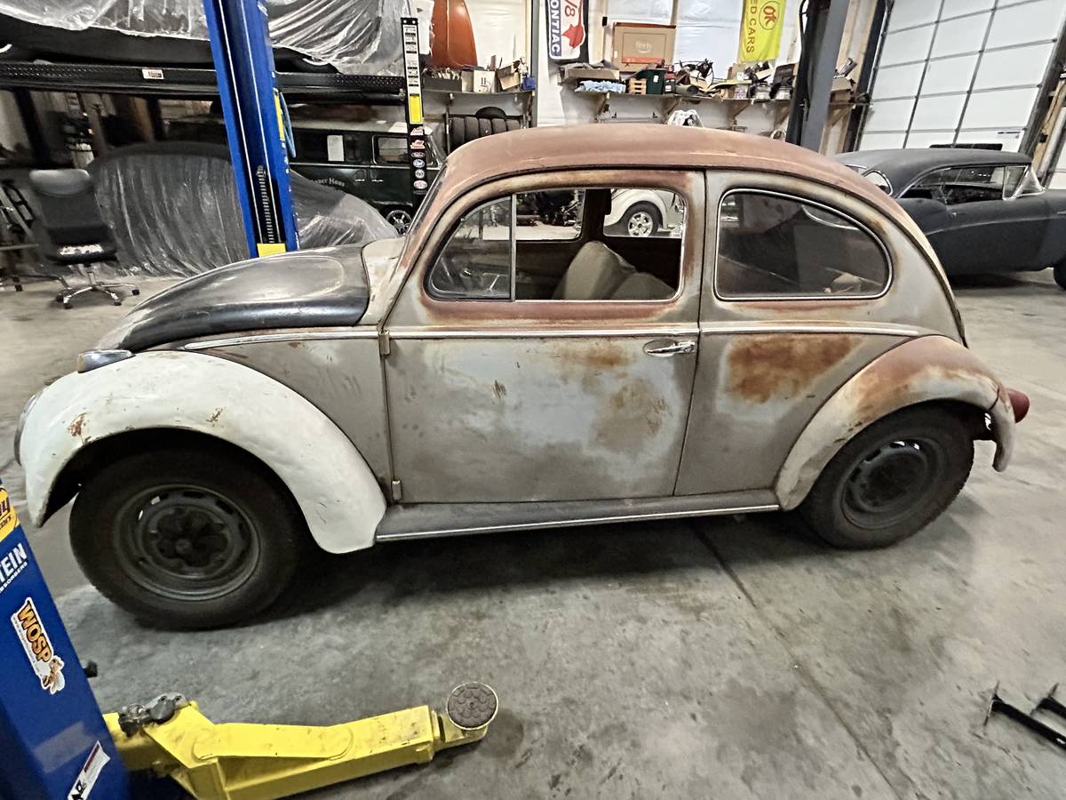 Volkswagen-beetle-1956-8