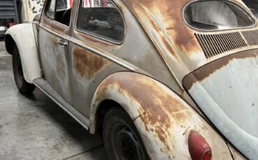 Volkswagen-beetle-1956-9