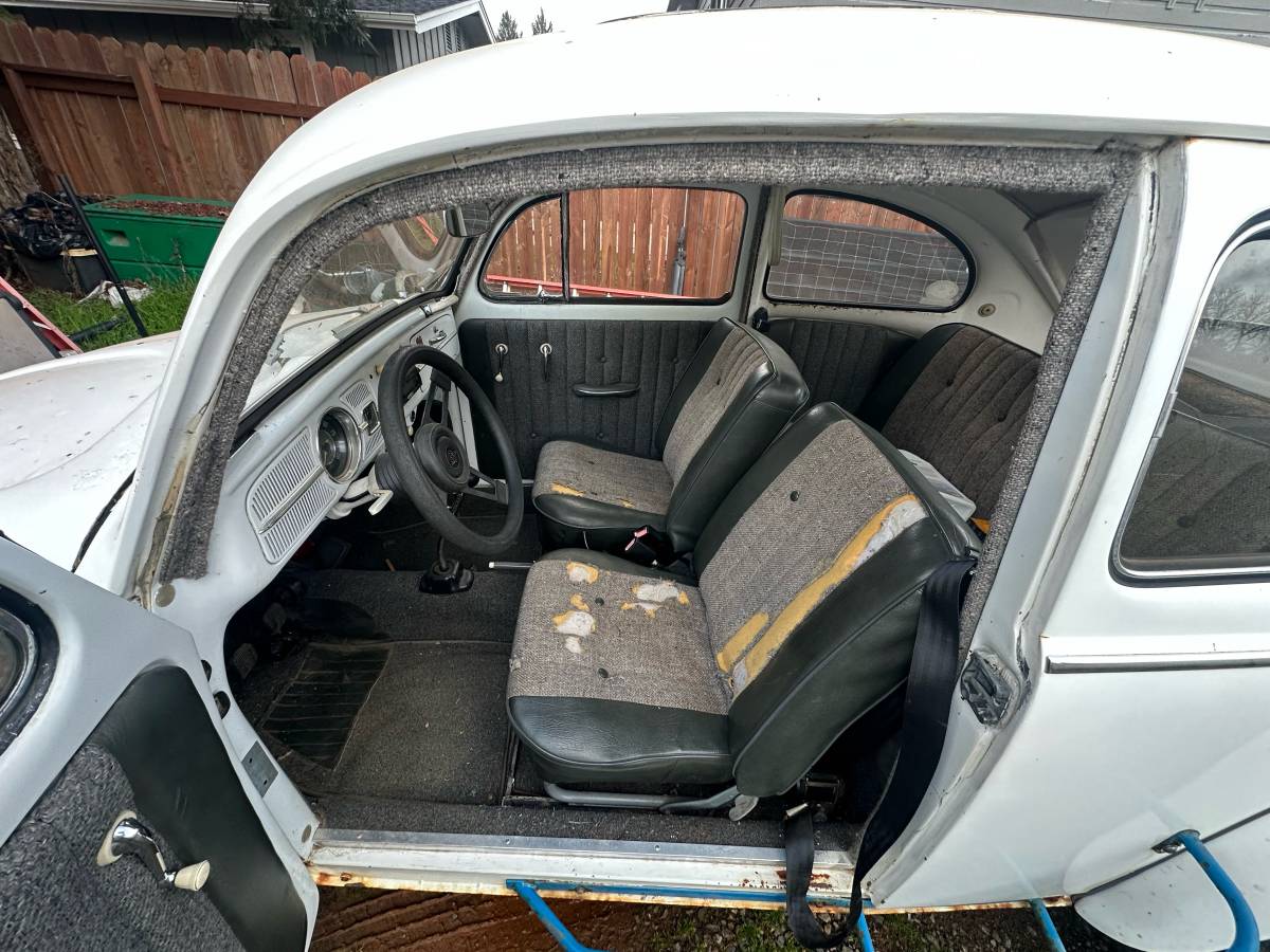 Volkswagen-beetle-1962-white-3