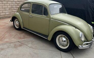 Volkswagen-beetle-1966-11