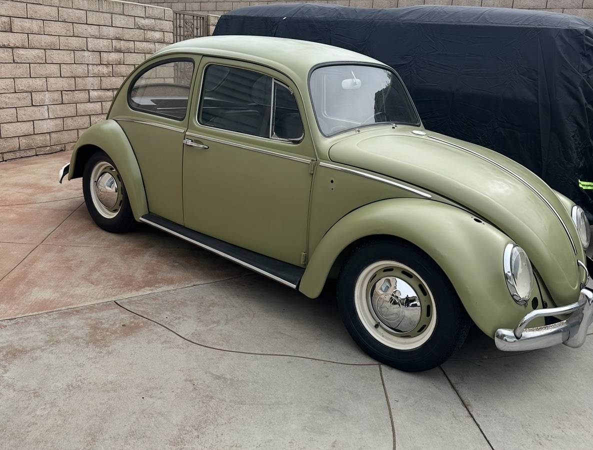 Volkswagen-beetle-1966-11