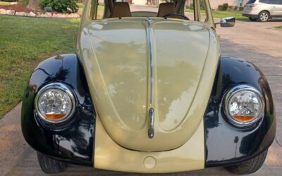 Volkswagen beetle 1971