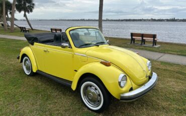 Volkswagen-beetle-cabriolet-1974-12