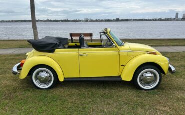 Volkswagen-beetle-cabriolet-1974-13