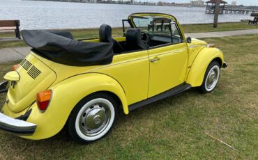 Volkswagen-beetle-cabriolet-1974-14