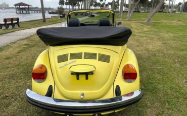 Volkswagen-beetle-cabriolet-1974-15