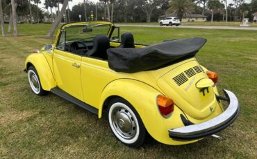 Volkswagen-beetle-cabriolet-1974-16
