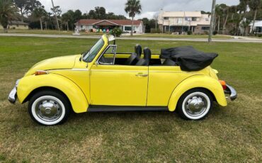 Volkswagen-beetle-cabriolet-1974-17