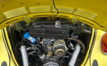 Volkswagen-beetle-cabriolet-1974-21