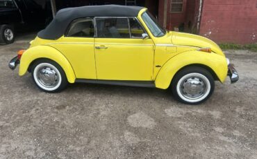 Volkswagen-beetle-cabriolet-1974-6