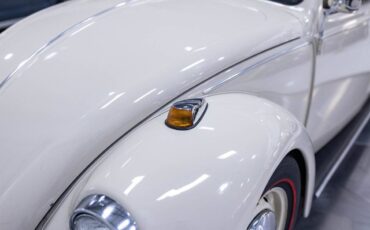 Volkswagen-beetle-classic-1967-custom-15