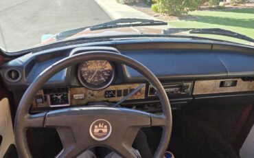 Volkswagen-beetle-convertible-1978-custom-2