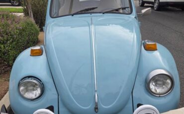 Volkswagen-bug-1974-blue