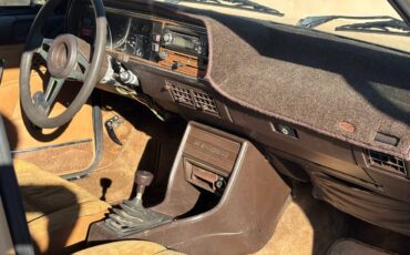 Volkswagen-dasher-diesel-1981-3