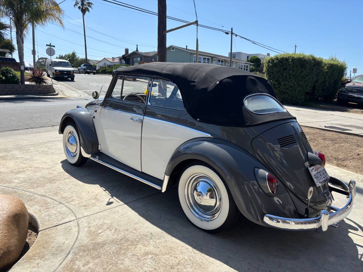 Vw-beetle-1962-grey-3